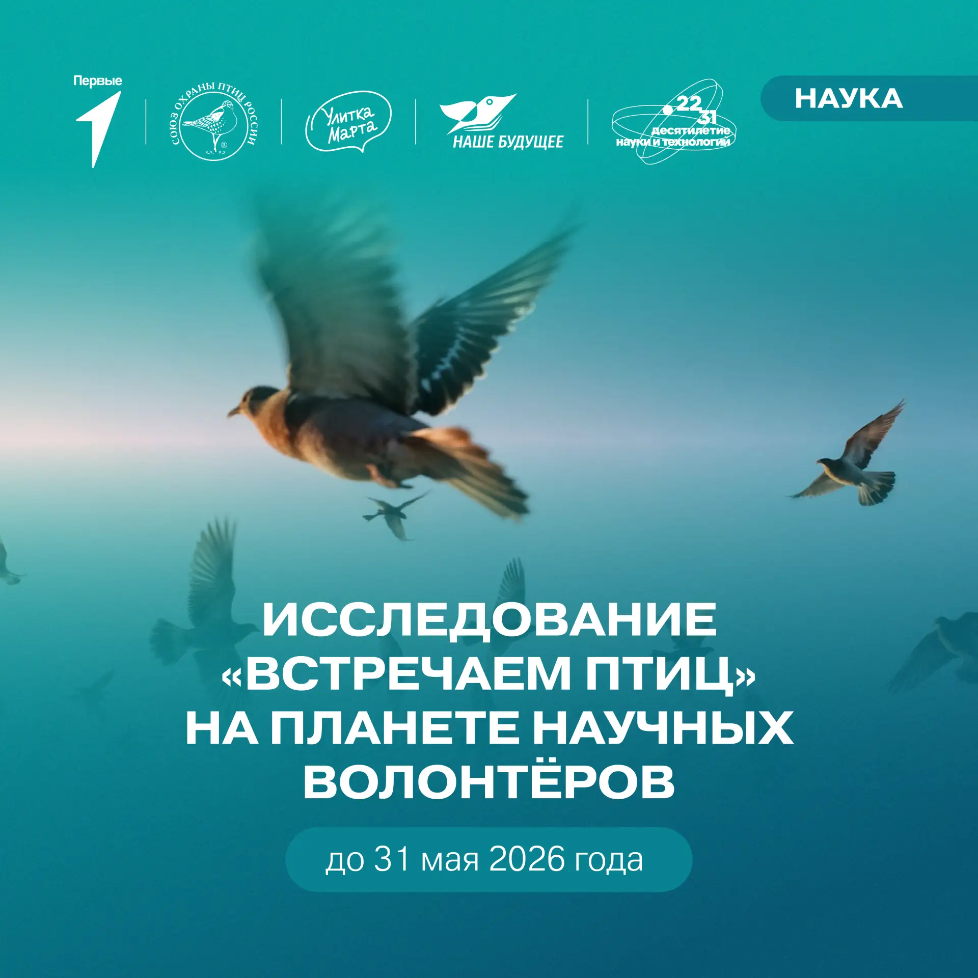 Планета Научных волонтёров вызывает 📲 Спецмиссия — организовать наблюдение за перелётн...