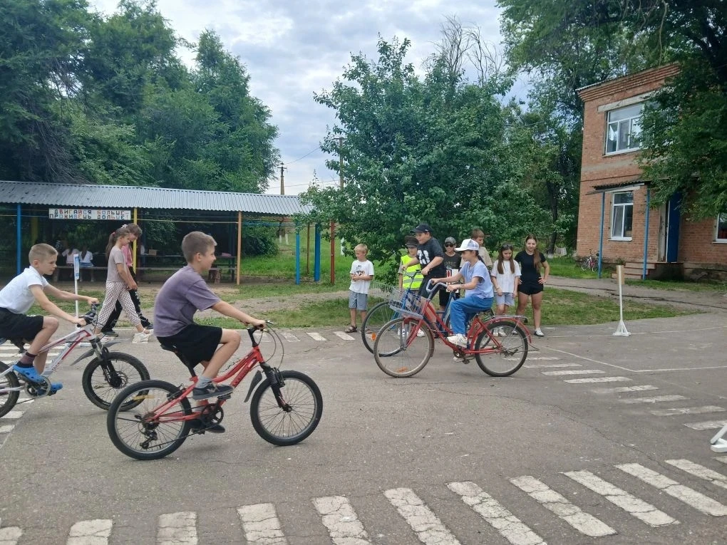 ☘️🌸🌼🌿Здравствуй,лето!🌞