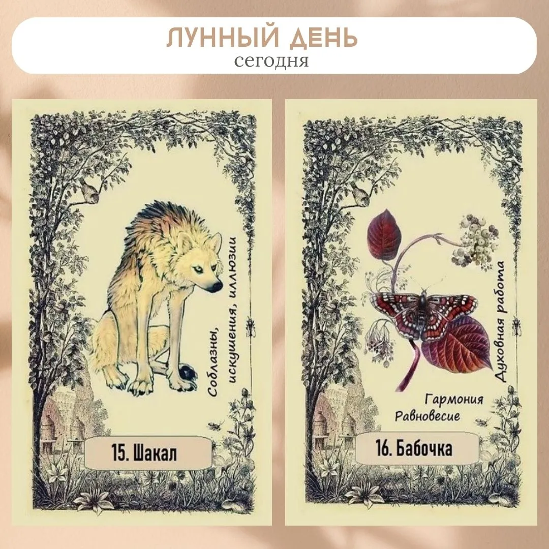 Сегодня 29 июля 2026, 15-16 лунный день.

🌕 Полнолуние. Луна в знаке Козерог, а затем Водолей. Энер