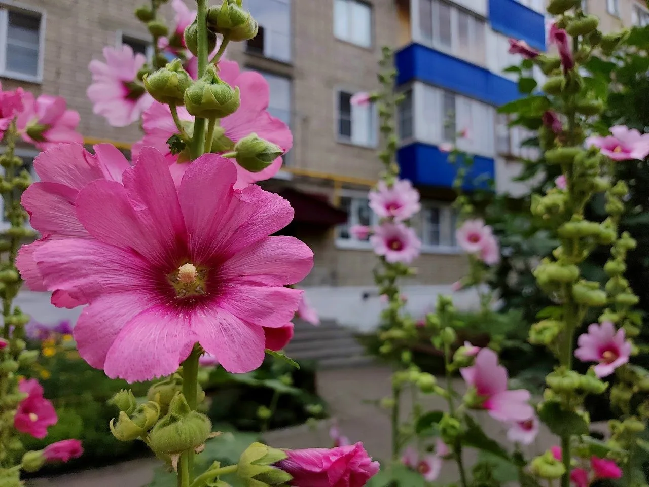Доброе утро, уваровцы!
