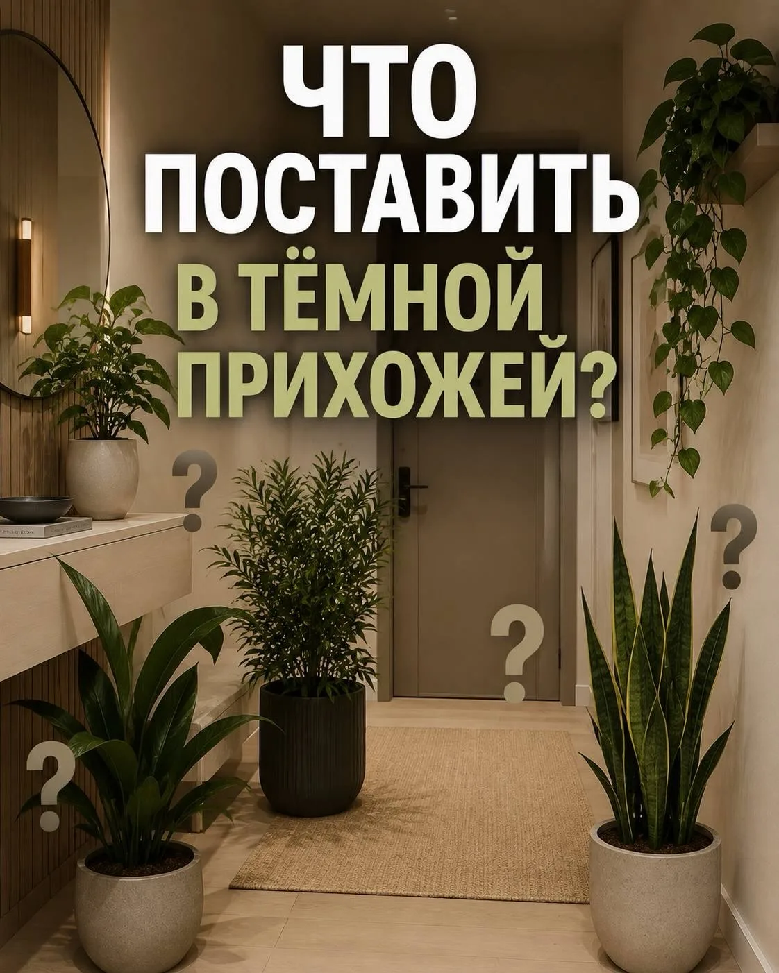 🌿 Какие растения поставить в тёмной прихожей?