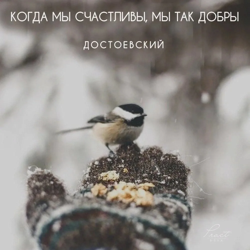 🇷🇺  Мы в МАХ : https://max.ru/dusha_angela_new
