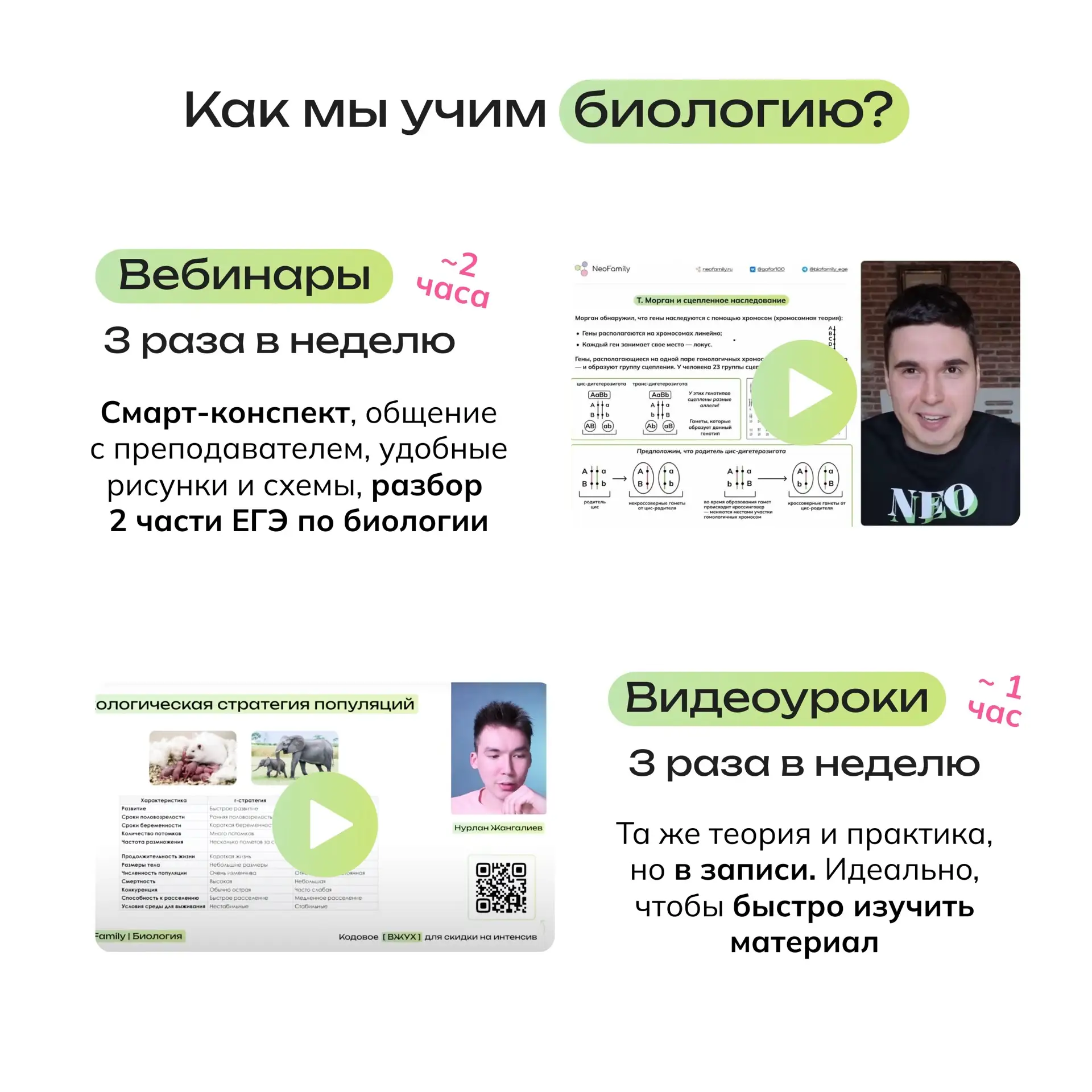 Как выбрать свой формат занятий на Годовом (у нас есть сразу два) 😏