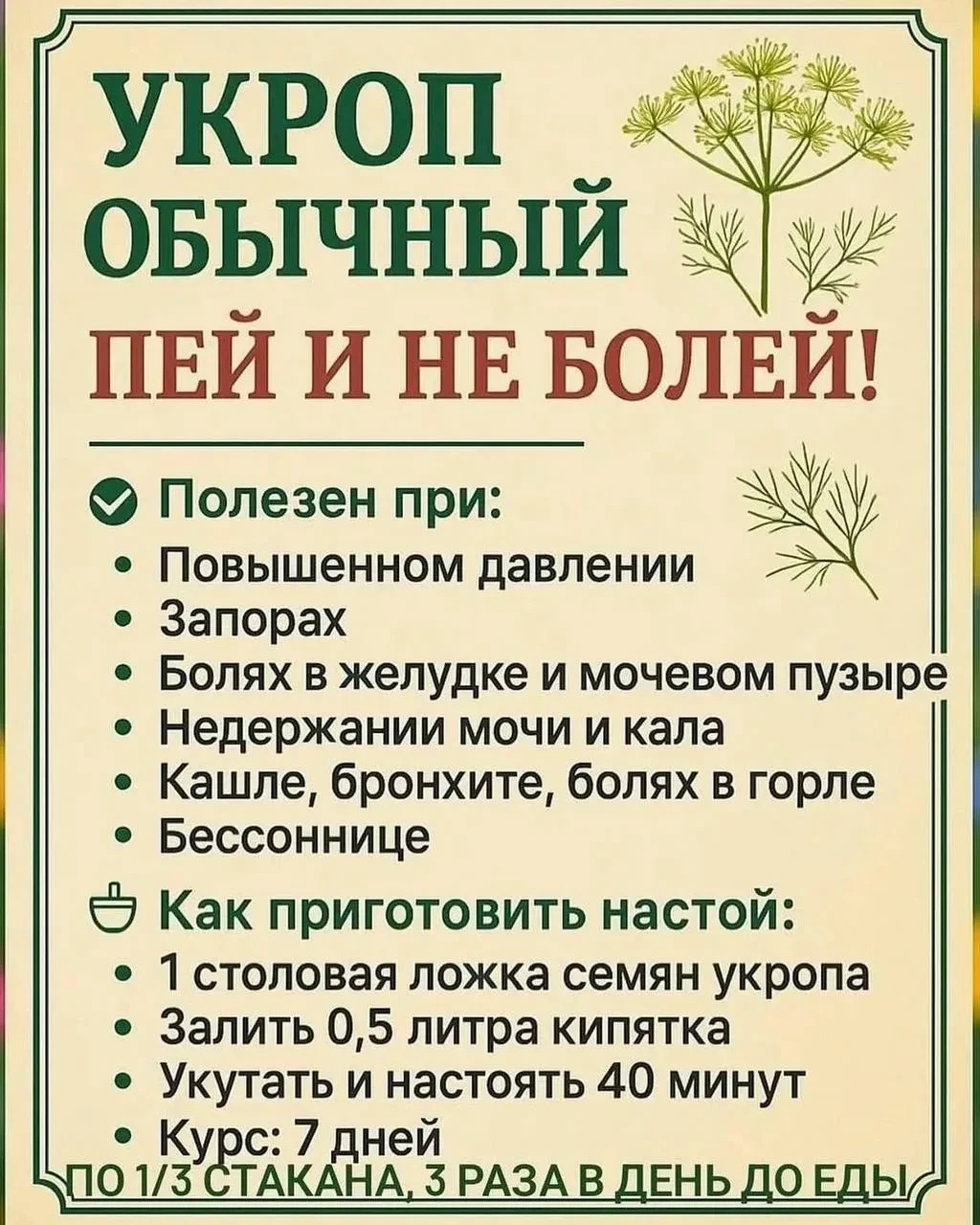 🌱Полезные свойства укропа!