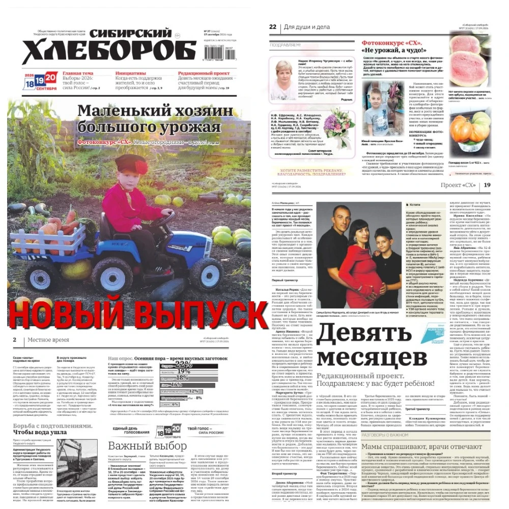 🗞Газета «Сибирский хлебороб» № 37 от 17 сентября 2026 года