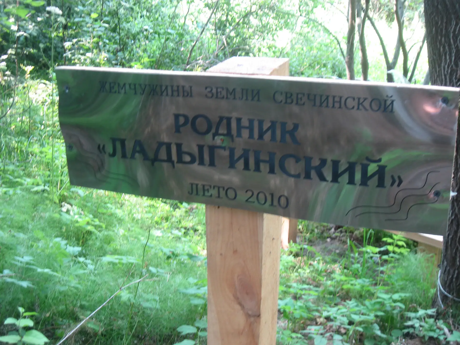 Ладыгинский родник в Свечинском районе 💦