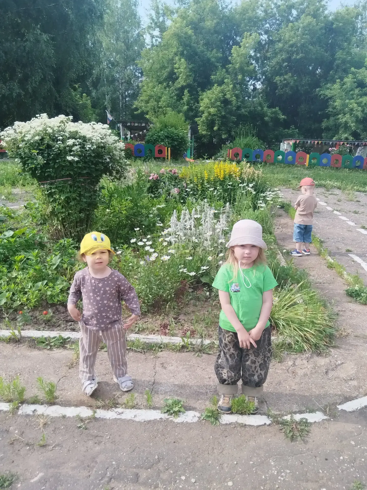 Лето, солнце, море цветов!!! Мы сегодня узнали какие бывают цветы на клумбе:ромашки, пионы, лилии! К