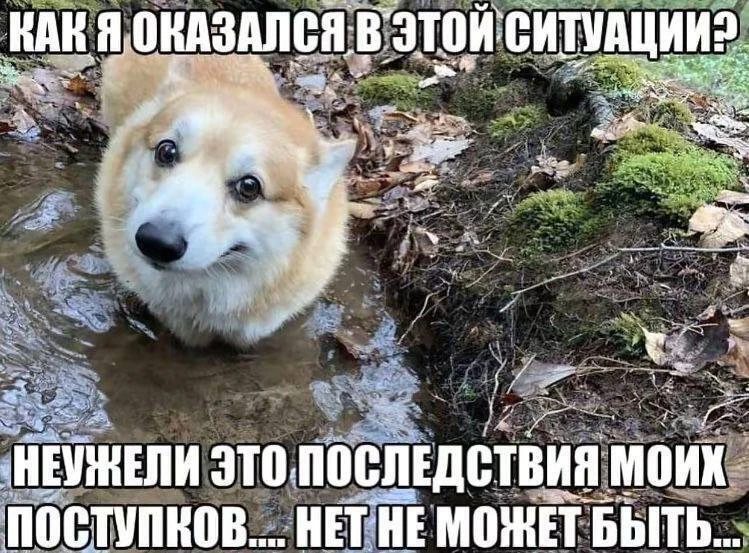 Случалось подобное?