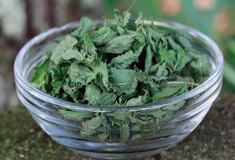 Лечим печень с помощью трав! 🌿