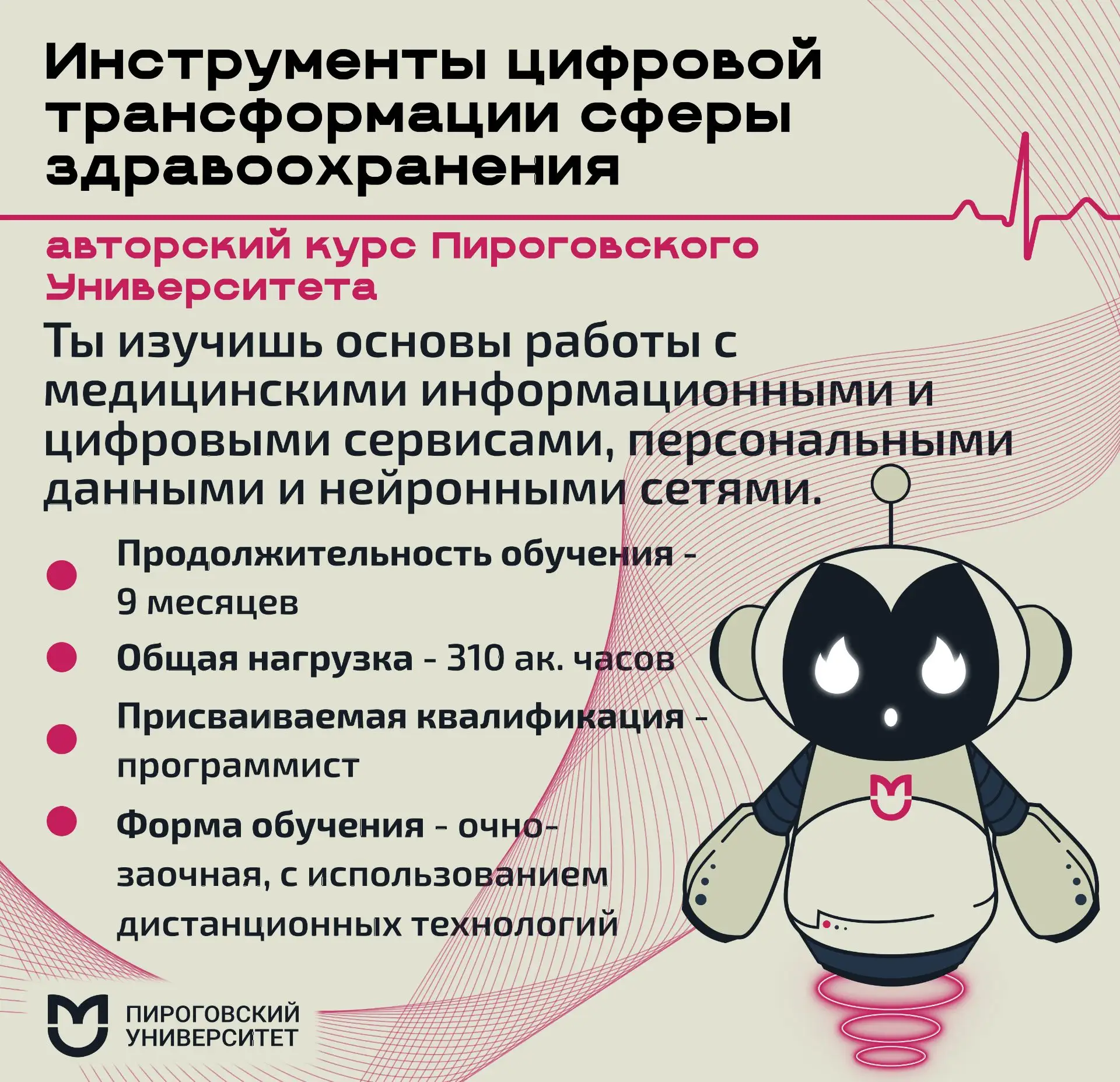 💥Сегодня мы поговорим про абсолютно новую образовательную программу, разработанную Пир...