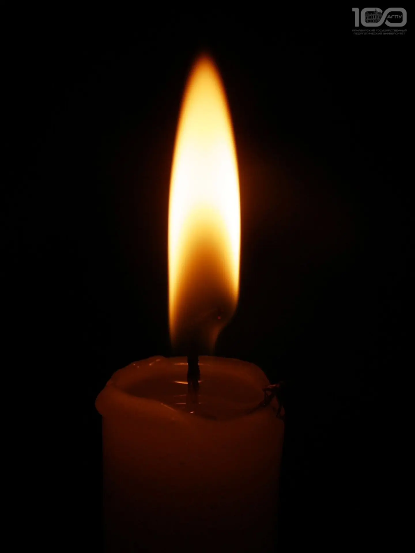 🕯️ Коллектив Армавирского государственного педагогического университета с глубокой болью и скорбью в