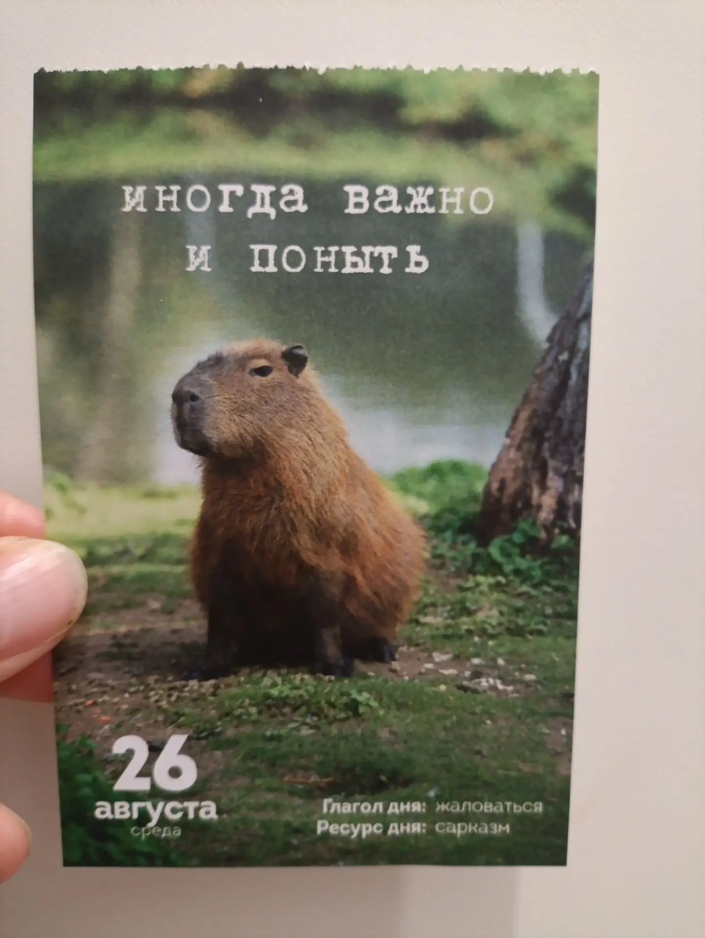 Как говорит моя коллега: у нас должен быть час нытинга))