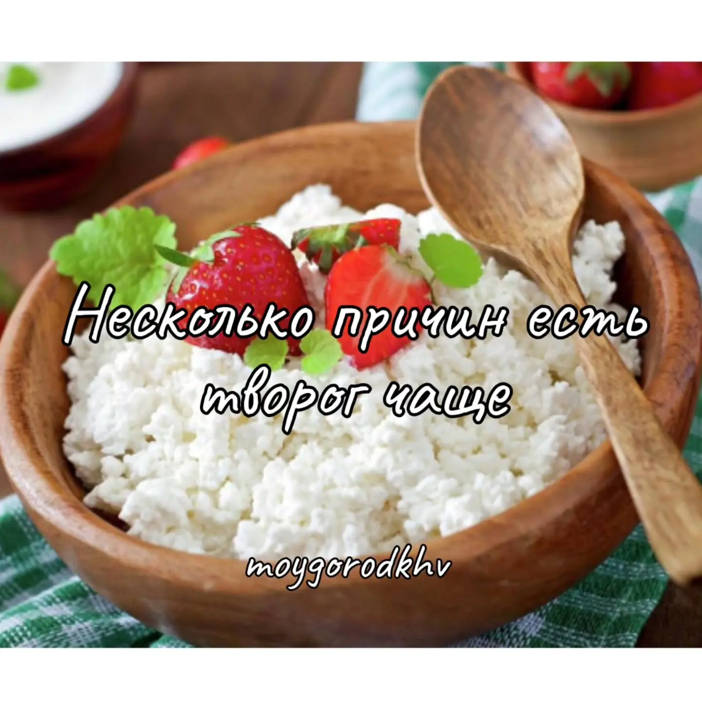 #moygorod_khvполезное | 👈