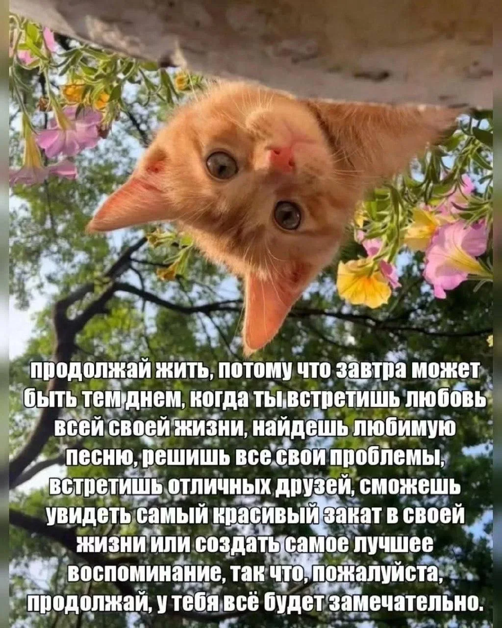 Изображение 1 к публикации «Администрация Аншлага»