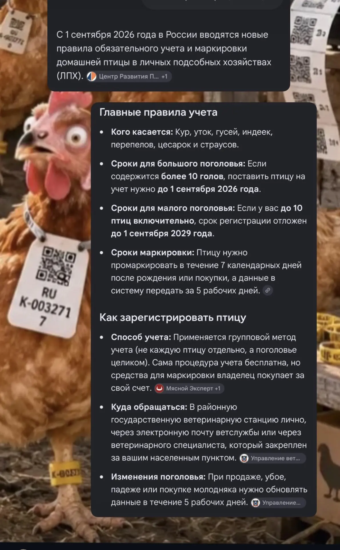 Вот это новости