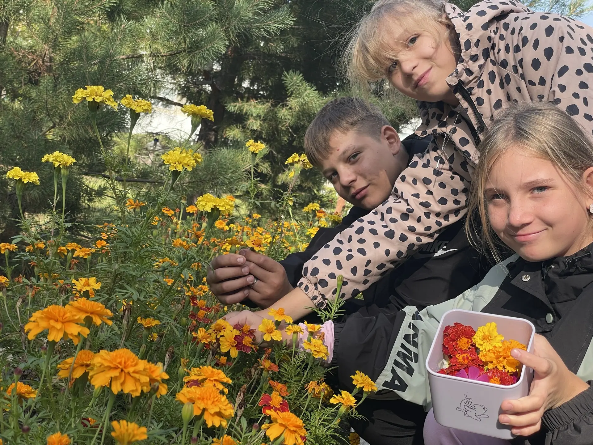 🍁 Начались наши учебные дни, а вместе с ними — и осенние прогулки, наполненные особенн...