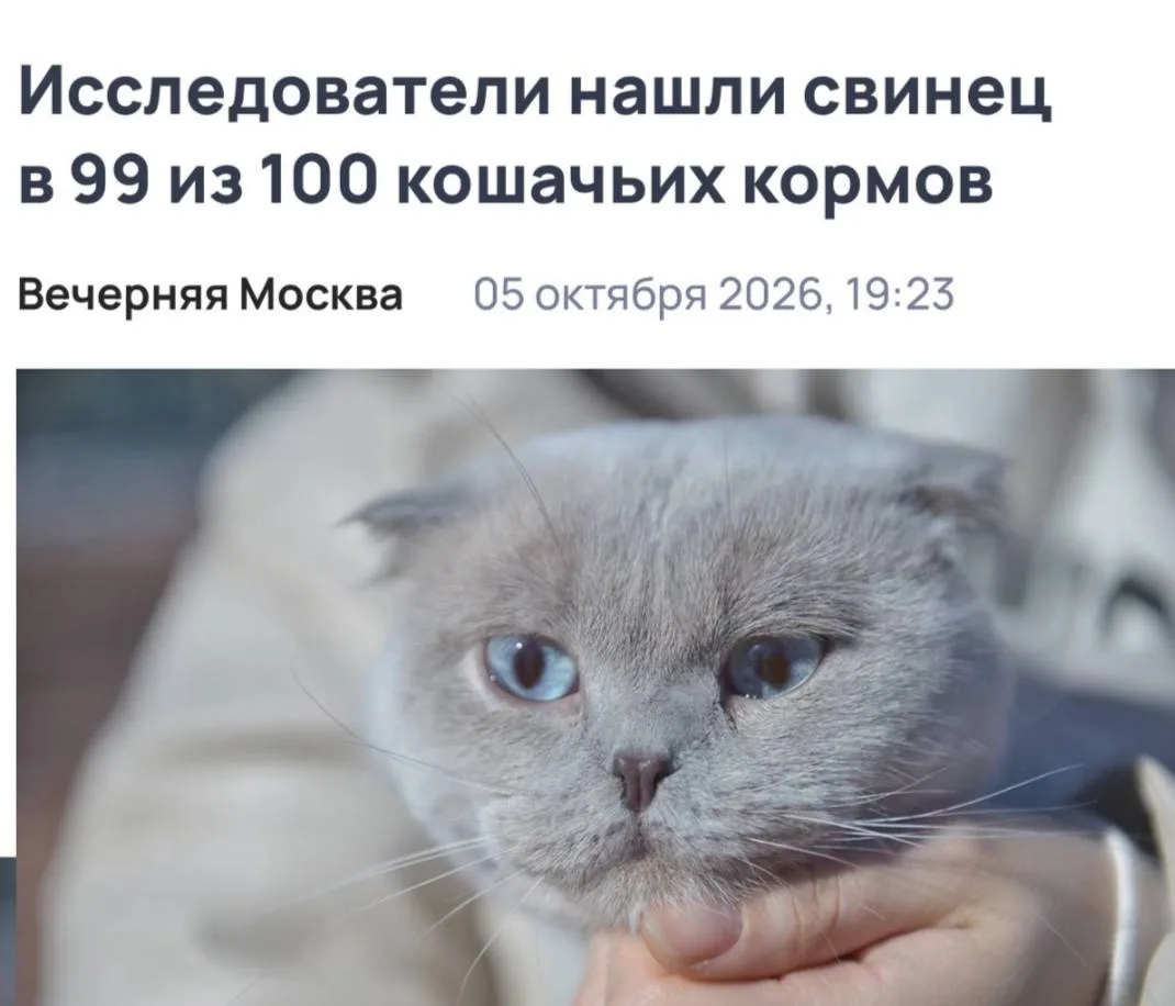 А есть ощущение, что это исследование спонсировали сами кошки, чтобы хозяева самостояте...
