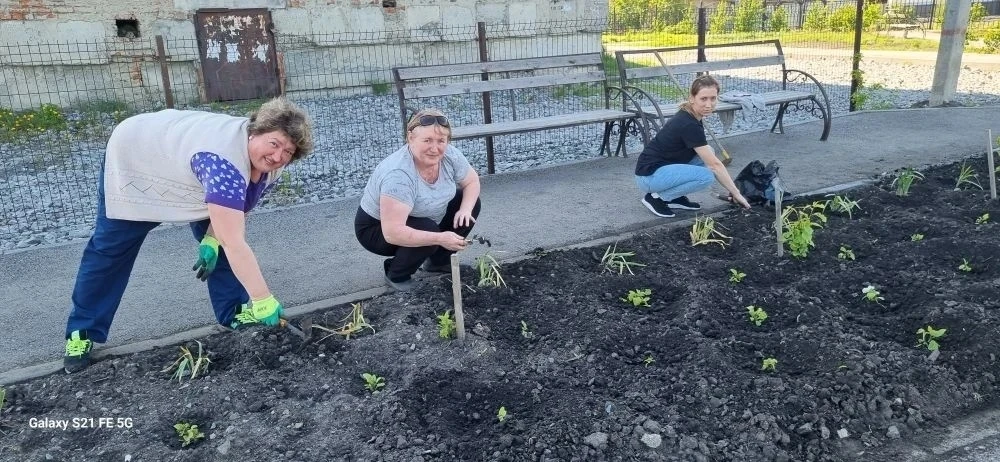 🌿Сотрудники нашего детского сада продолжают  принимать участие в озеленении и благоуст...