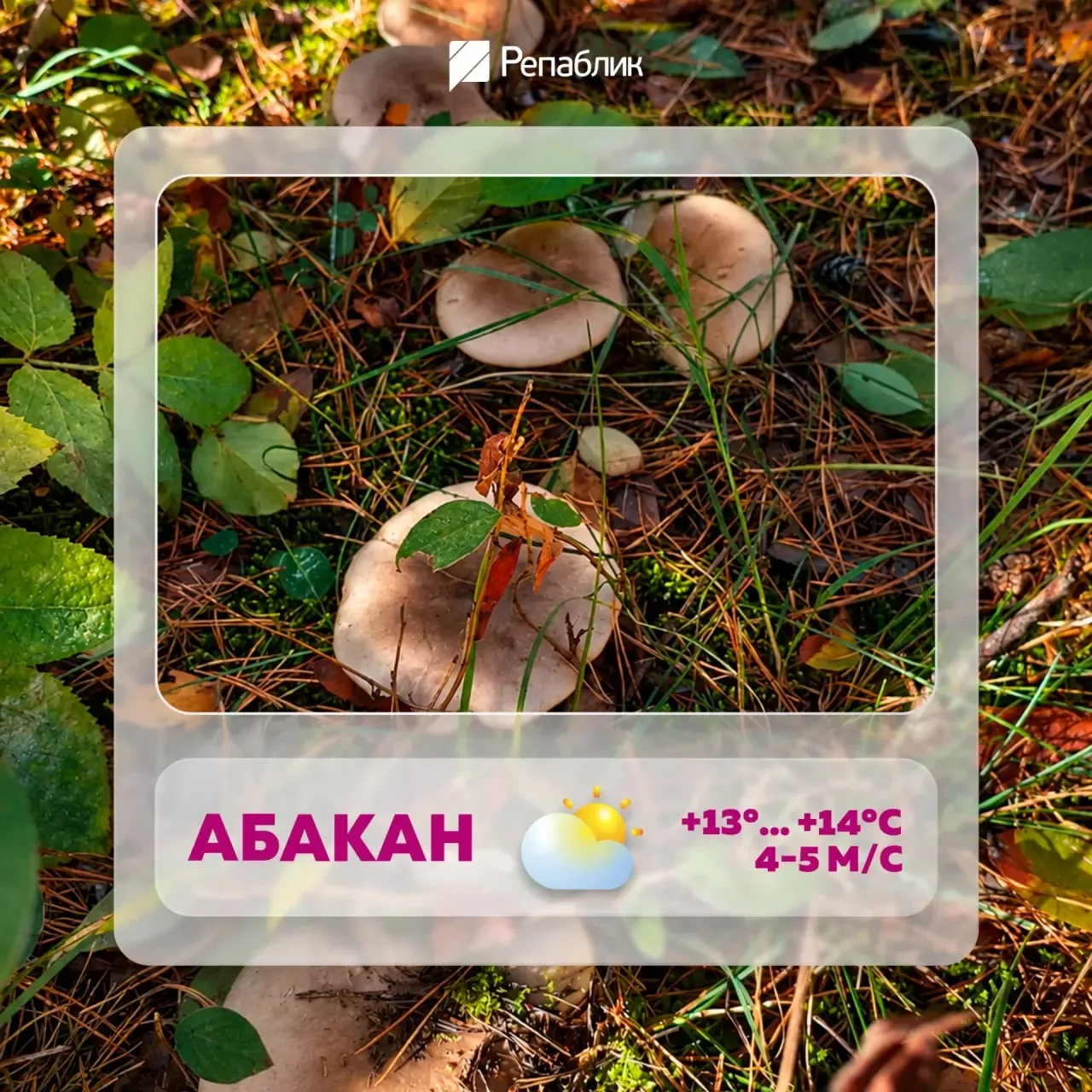 Сегодня +15, и небо будет играть с нами в лотерею 🌦️