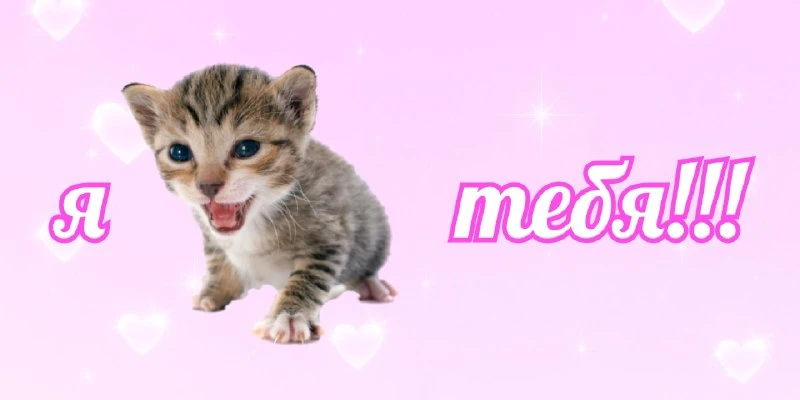 💌 Открытки на любой случай