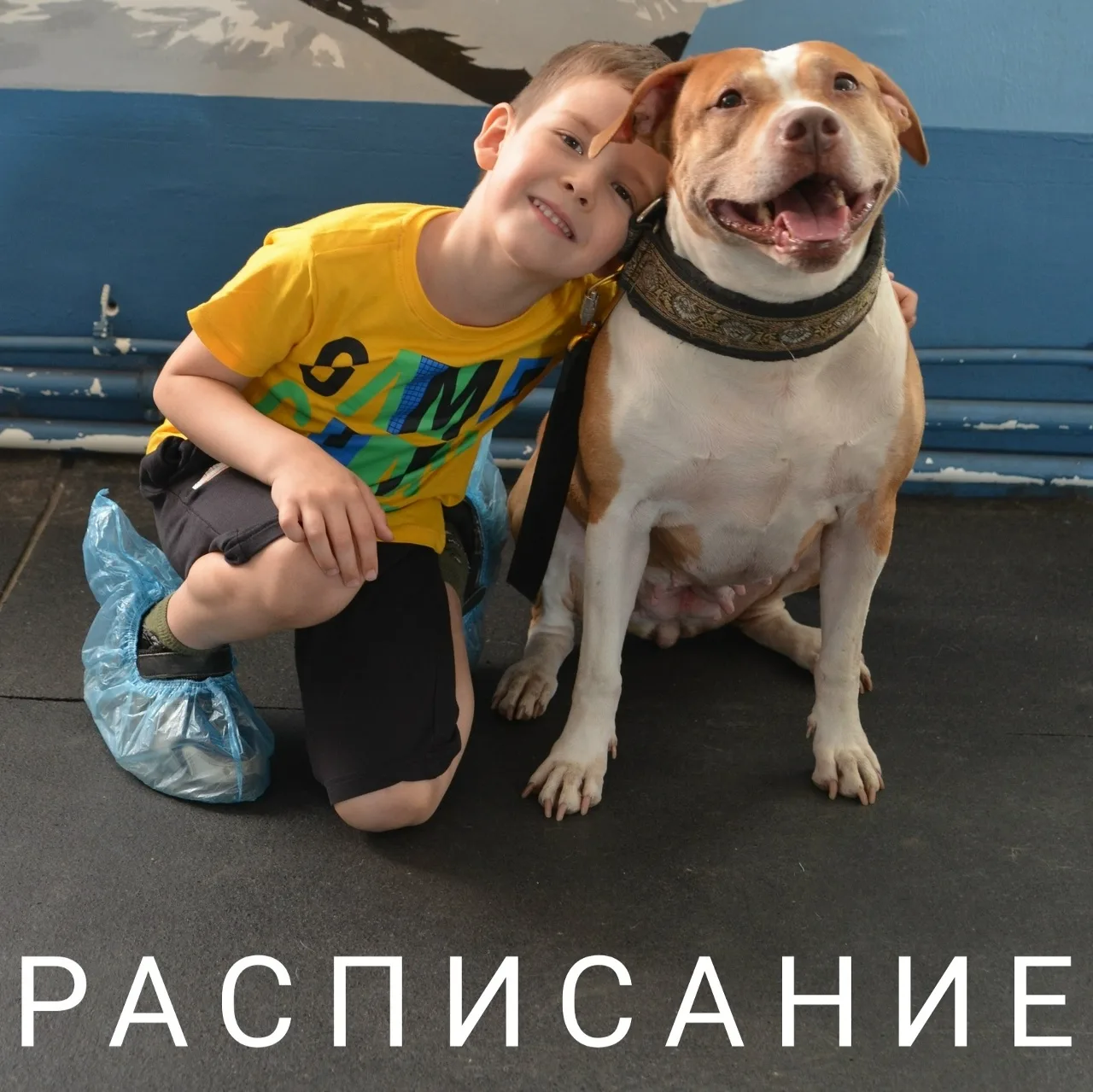 ЭТО ЯРОСЛАВЛЬ ДЕТКАМ | СЕНТЯБРЬ