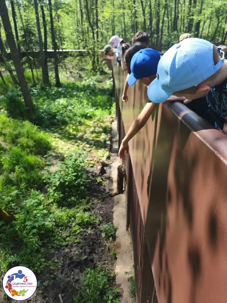 Наш 2Г класс отправился в настоящее приключение — в «Сафари-парк»!   Мы увидели сразу два мира: парк