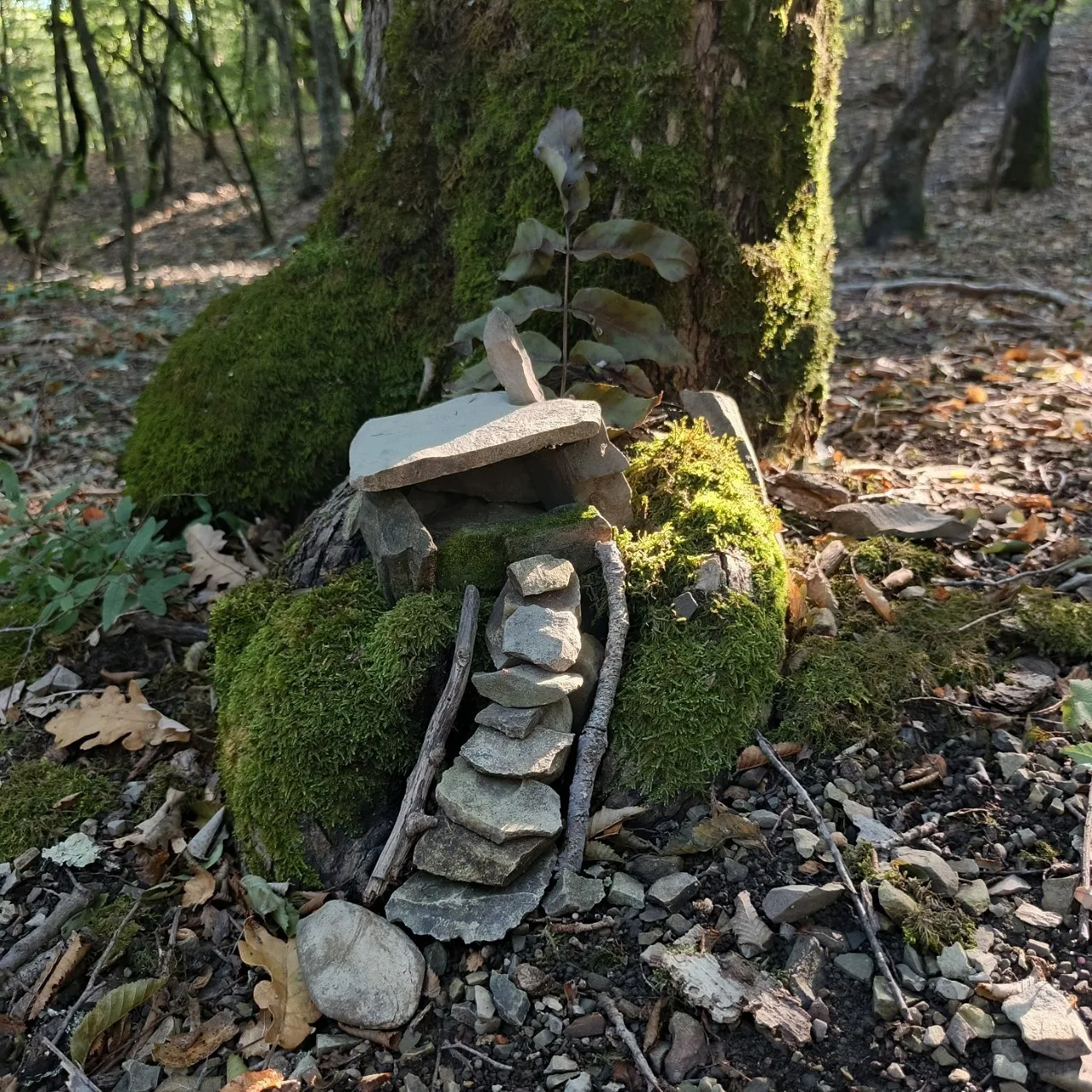 Любимый терренкур 🍃