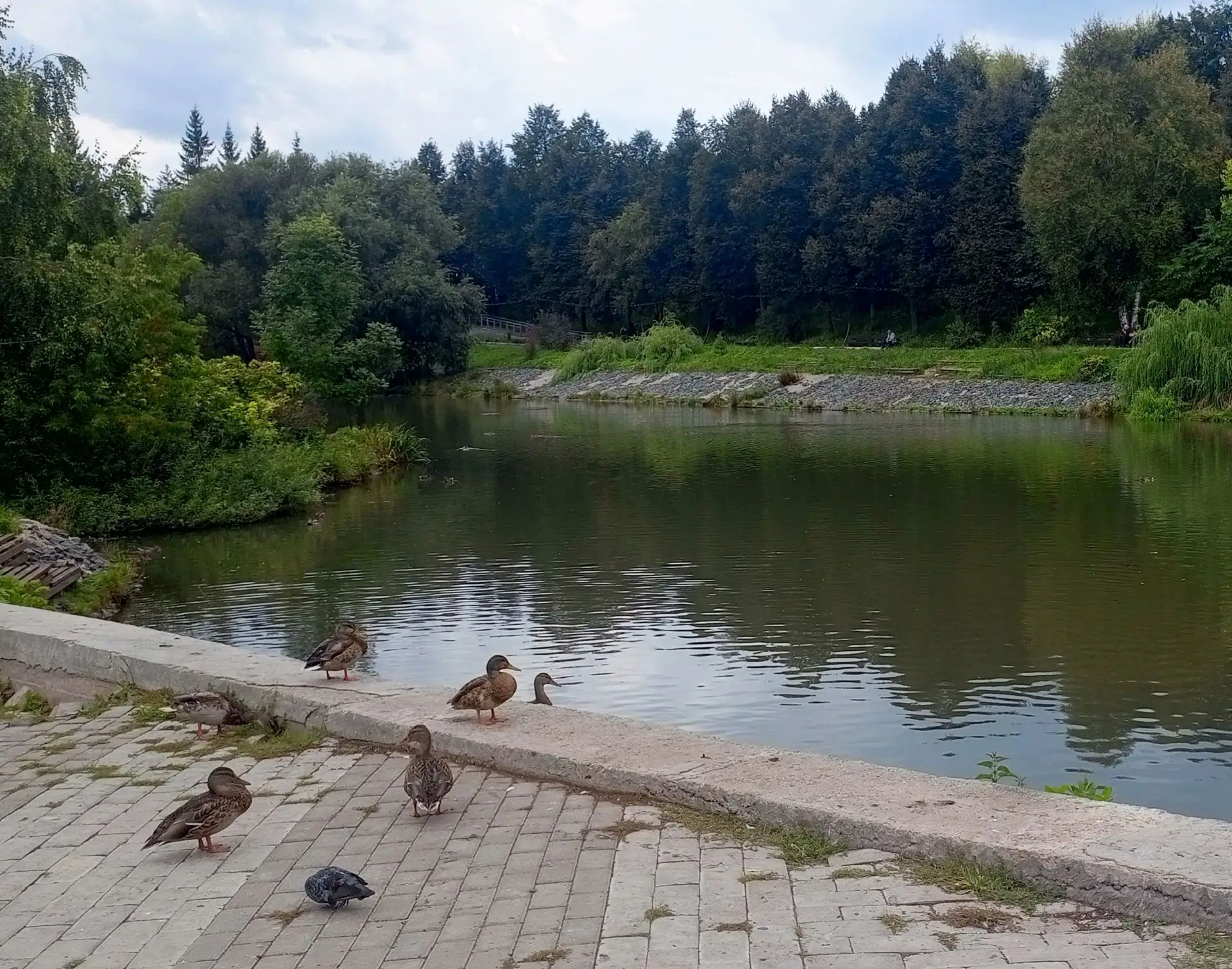 🌞 Доброе утро!