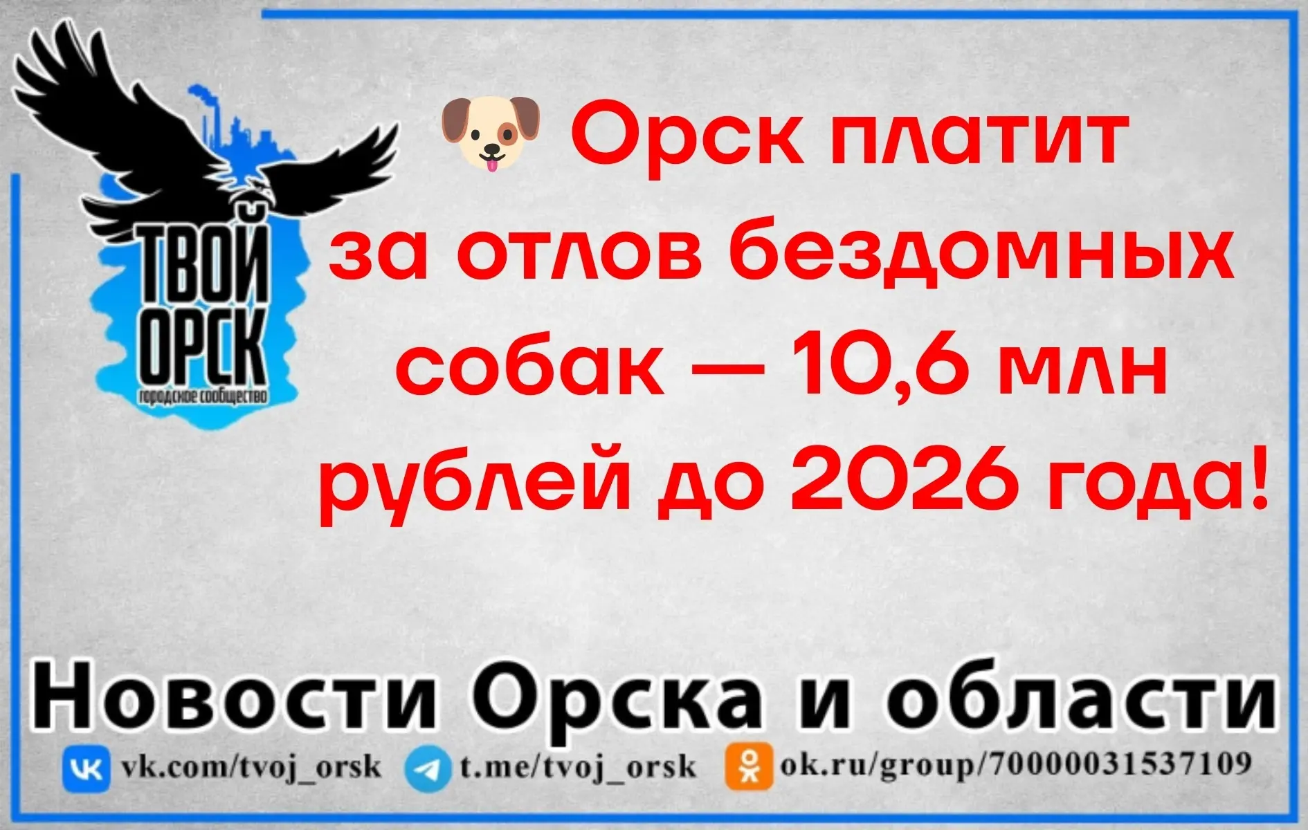🐶 Орск платит за отлов бездомных собак — 10,6 млн рублей до 2026 года!
В городе стартовал конкурс н