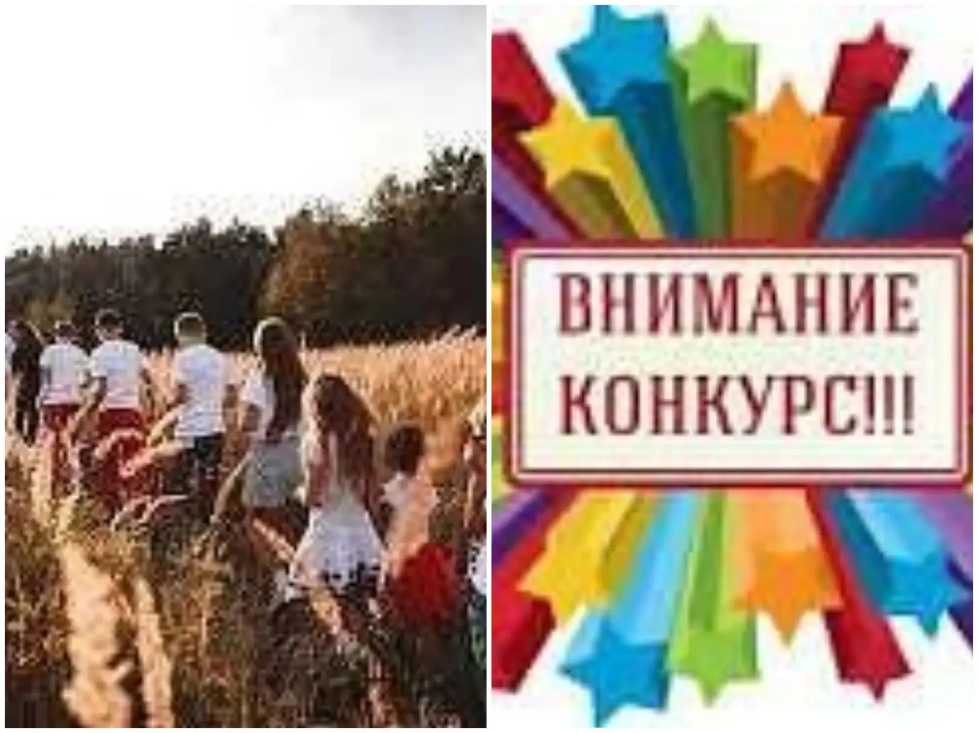 О конкурсе «Женщина –хозяйка на селе»