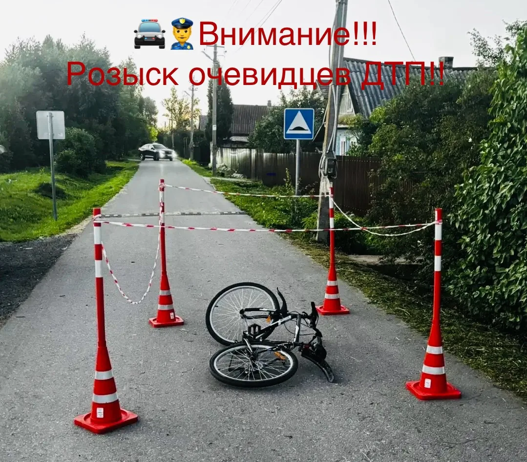 19.06.2026 около 21:30 у д. 2А по ул.Устье в д. Трубичино Новгородского округа неустано...