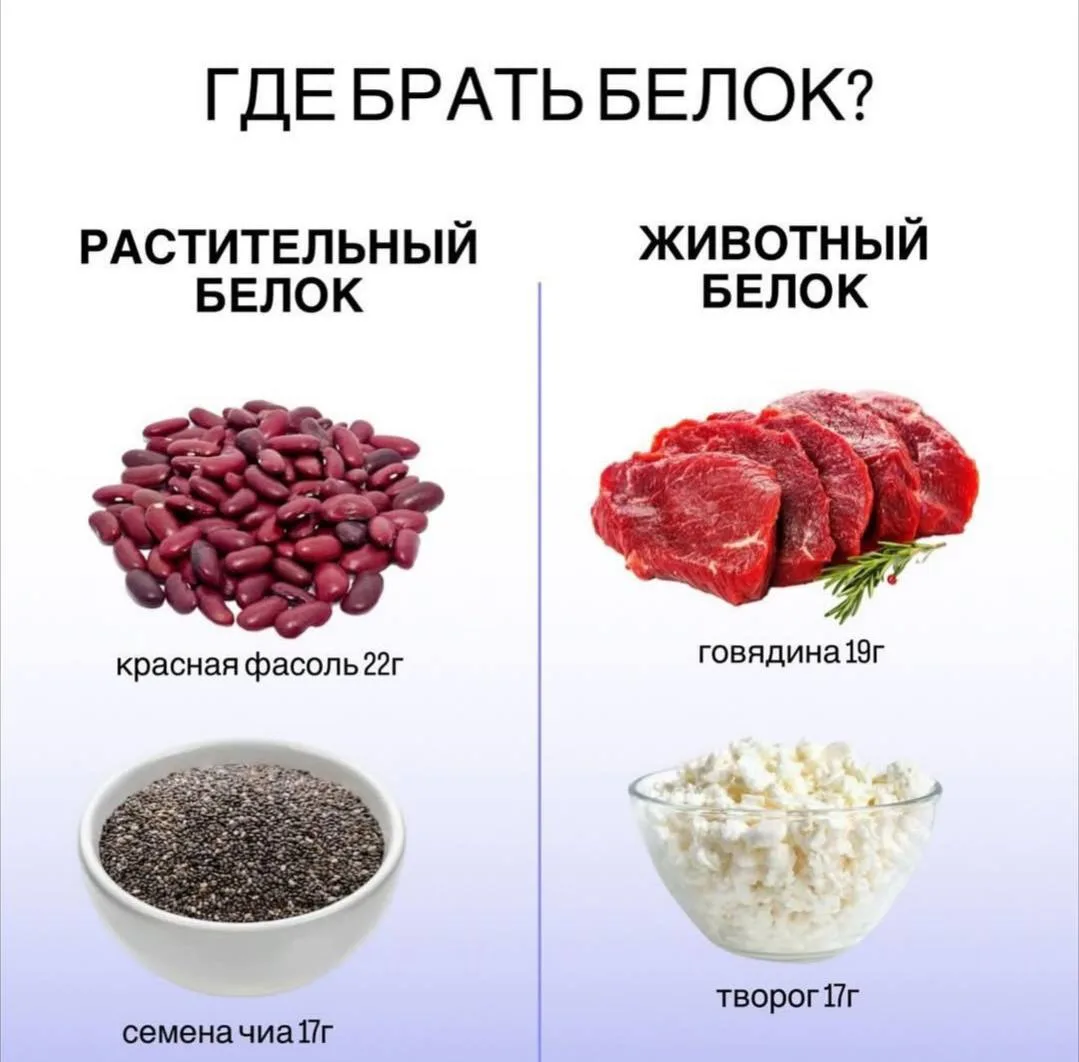 Где брать белок?

Смотри выше!⬆️

#питание