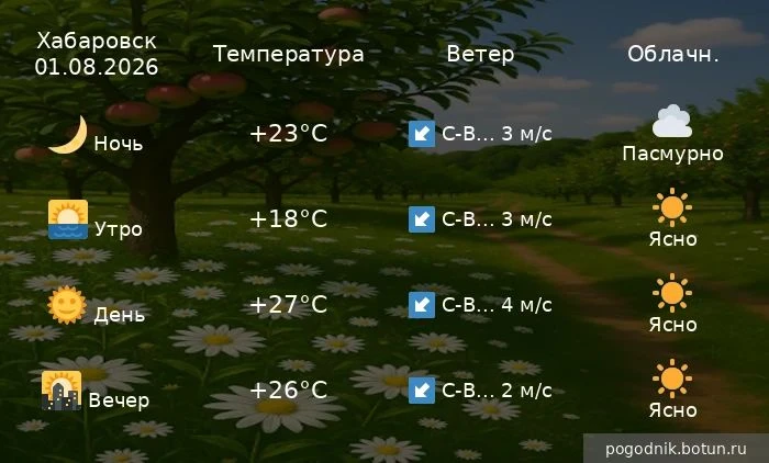 Погода на завтра  01.08.2026