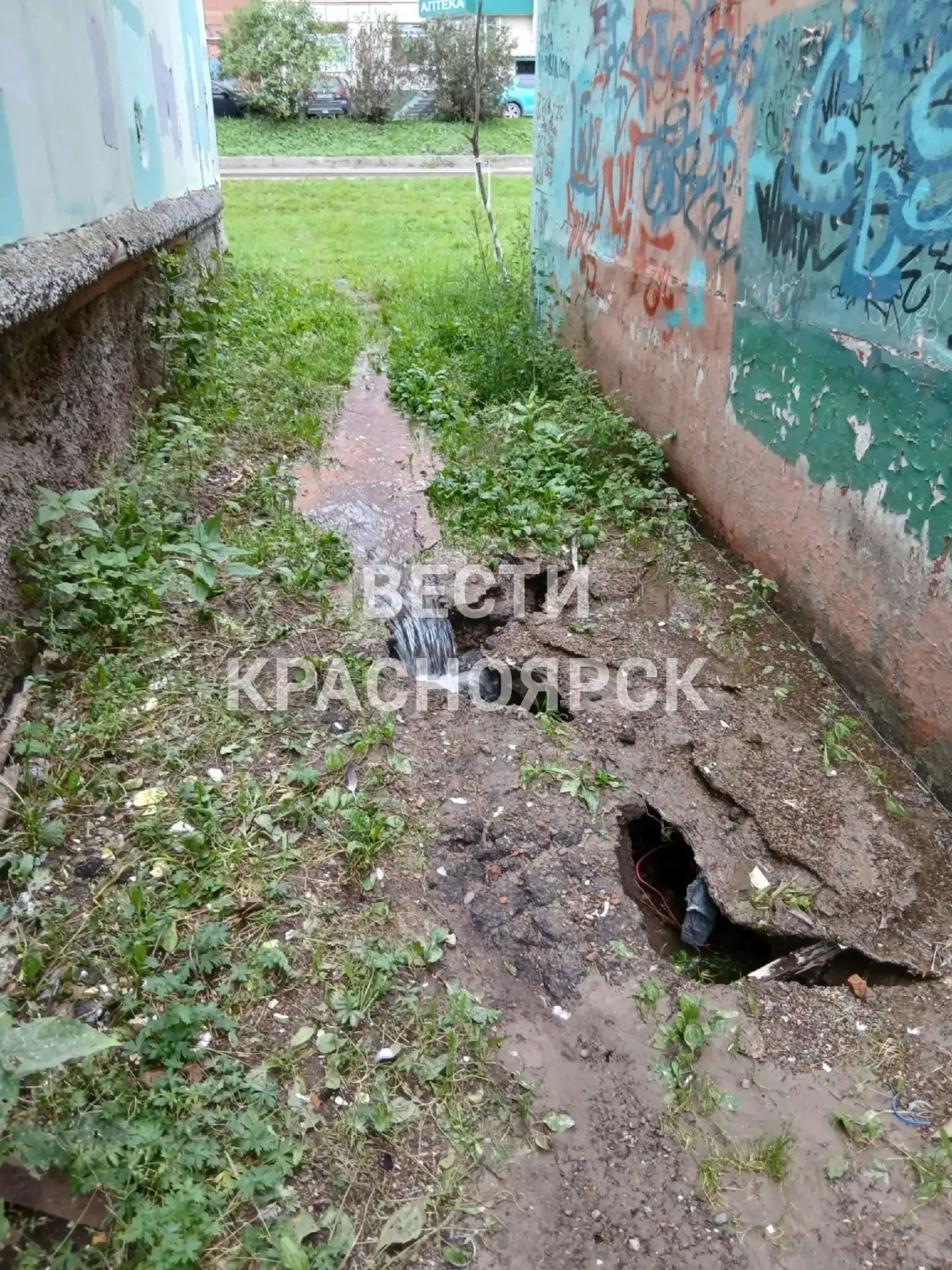 Возле дома на Курчатова, 2 из земли бьёт фонтан