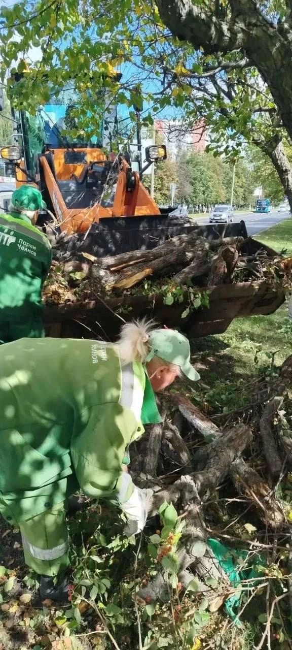 В Челнах водителей призвали не устраивать гонки на проспекте Мира