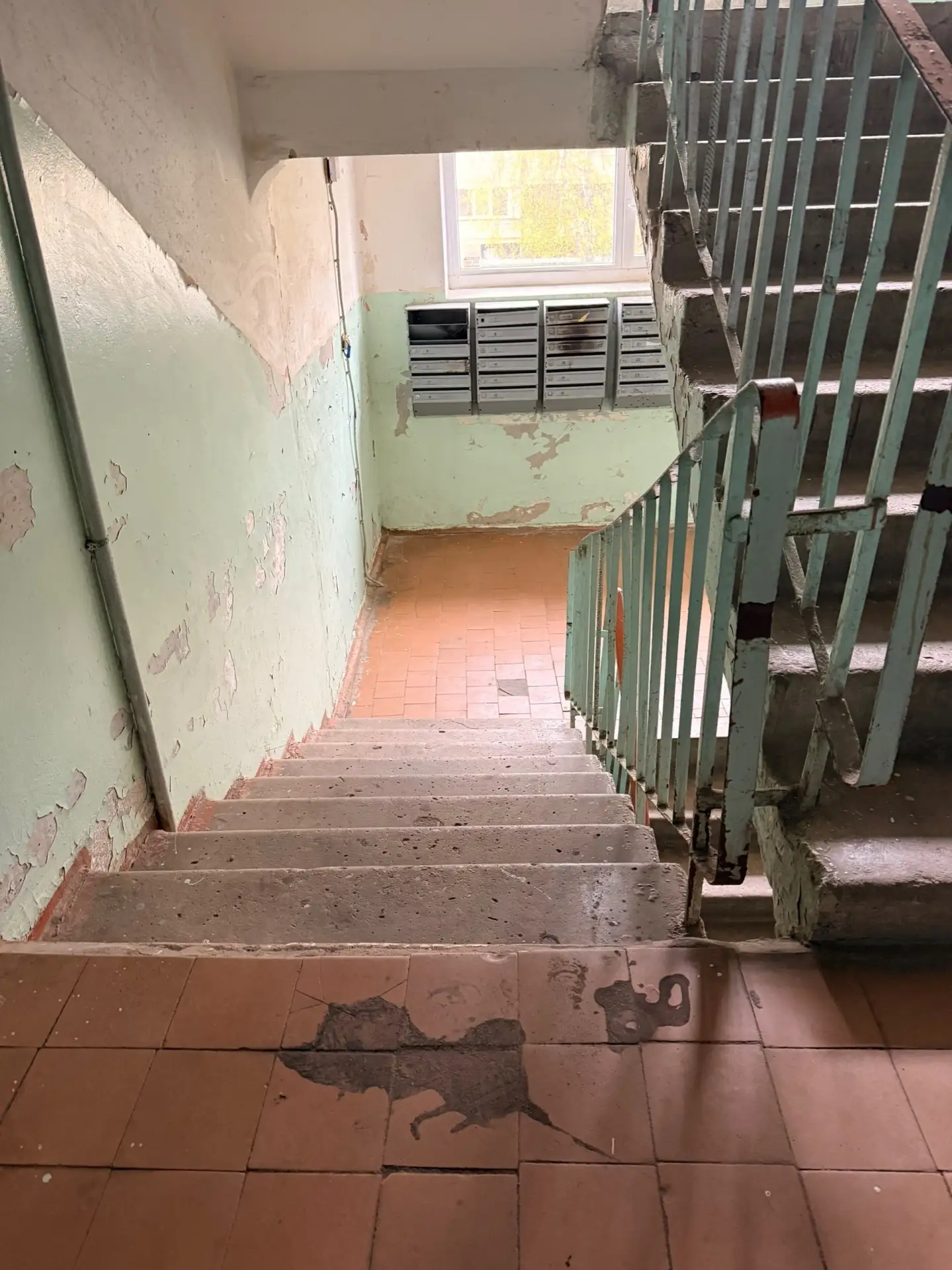 Вот так у нас убирают подъезды на Звёздной, 47к2 . Понимаю, подъездов много — раз в мес...