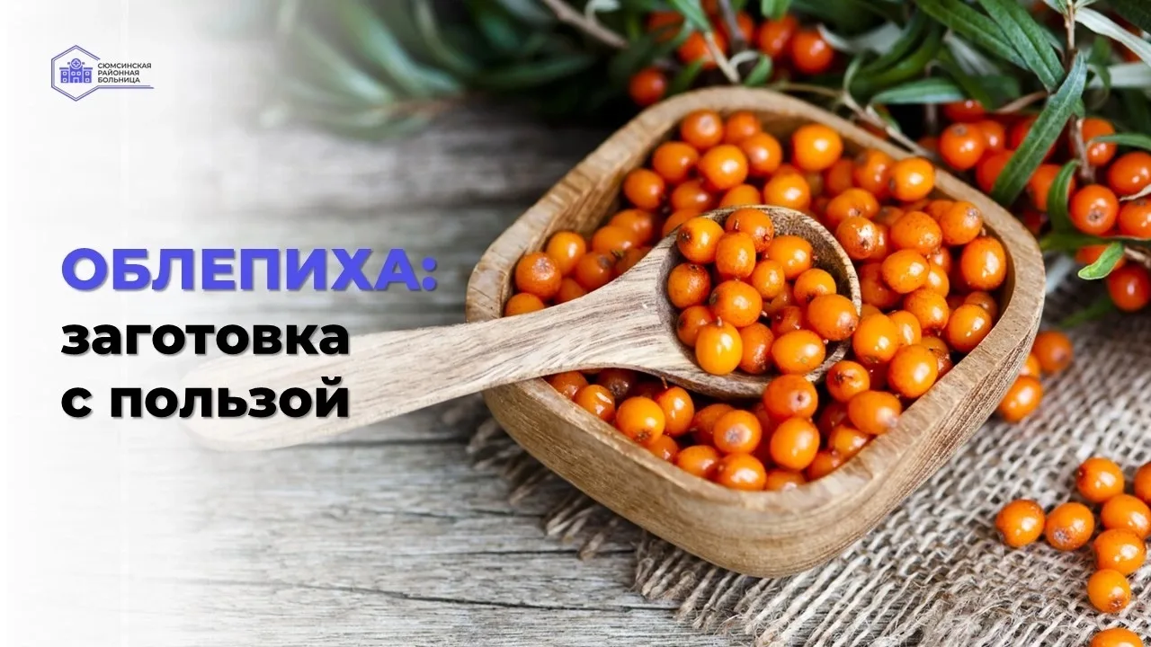 Сейчас у наших земляков поспевает облепиха — солнечная ягода, которая заряжает энергией...