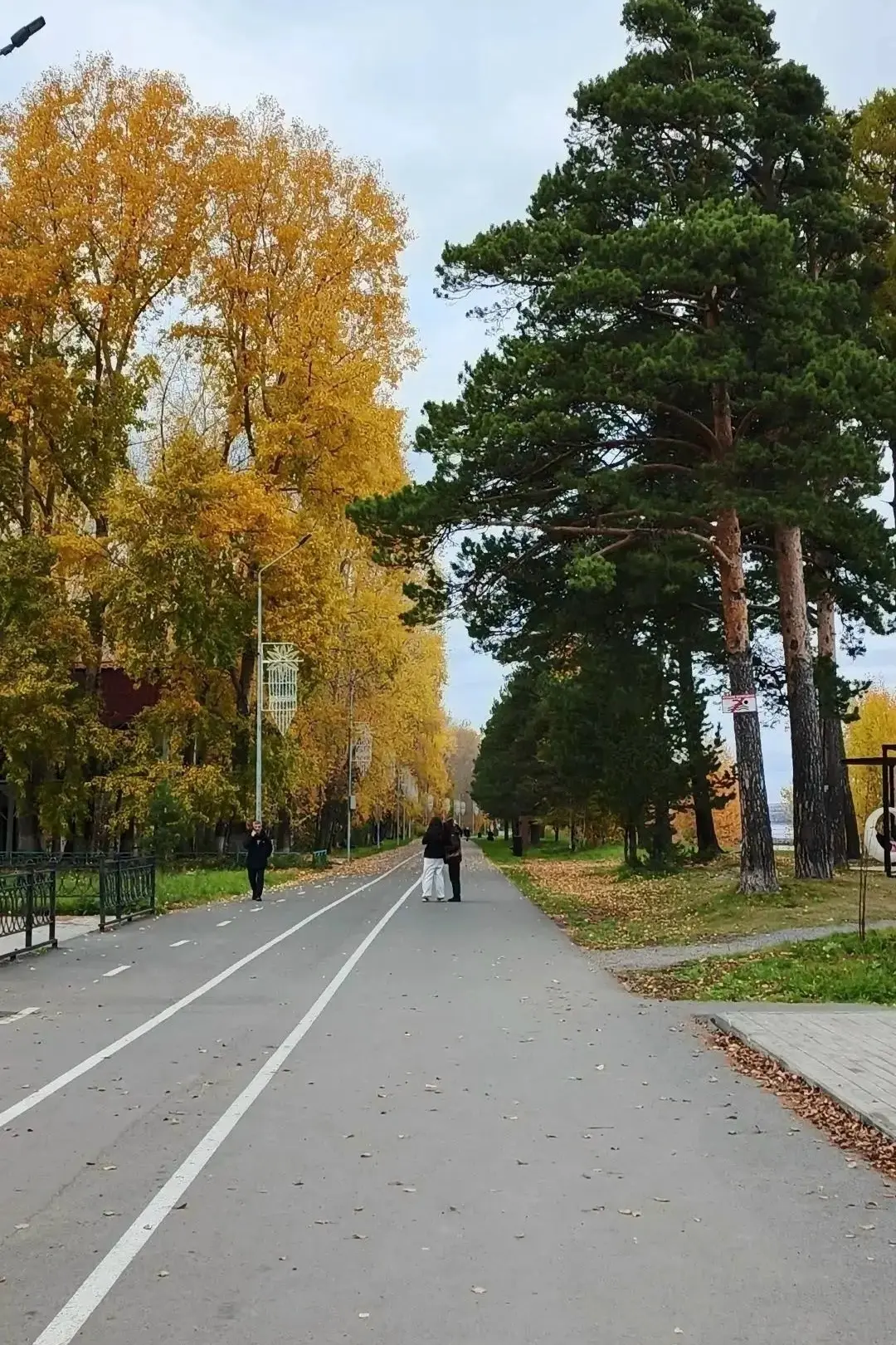 Красивая осенняя набережная в Лесосибирске 🍂
