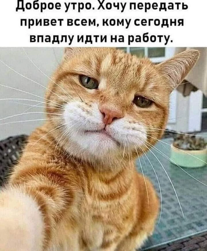 Левенцовка в МАХ