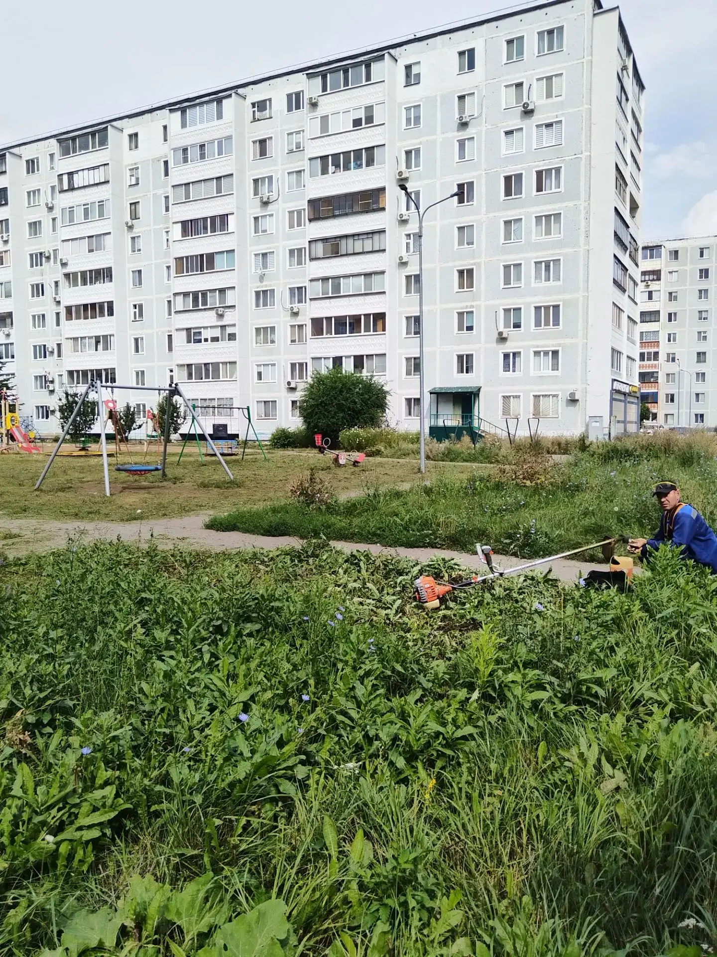На Сулеймановой 10, 12, а также Советской 149 и 151 проводится сегодня покос газонов.