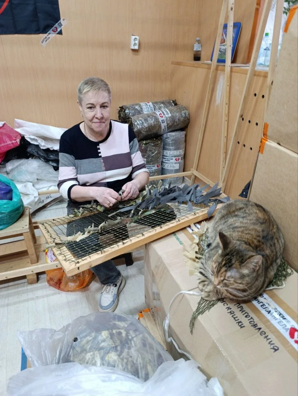 🇷🇺Котельники М. О.