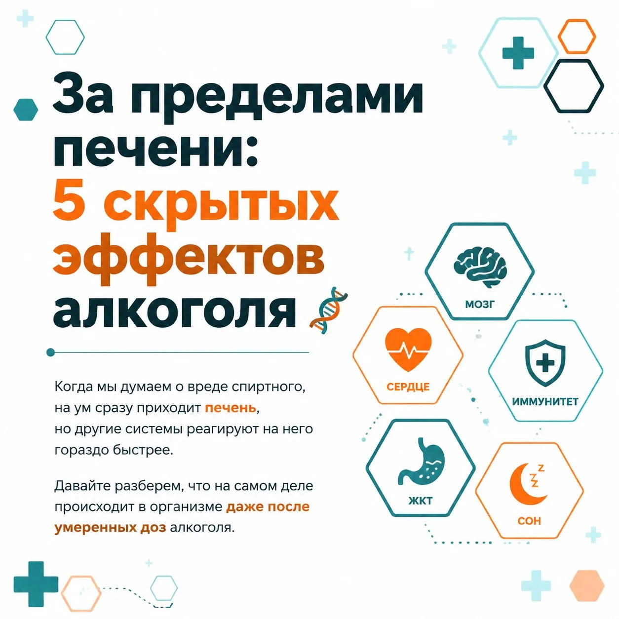 Когда мы думаем о вреде спиртного, на ум сразу приходит печень, но другие системы реаги...