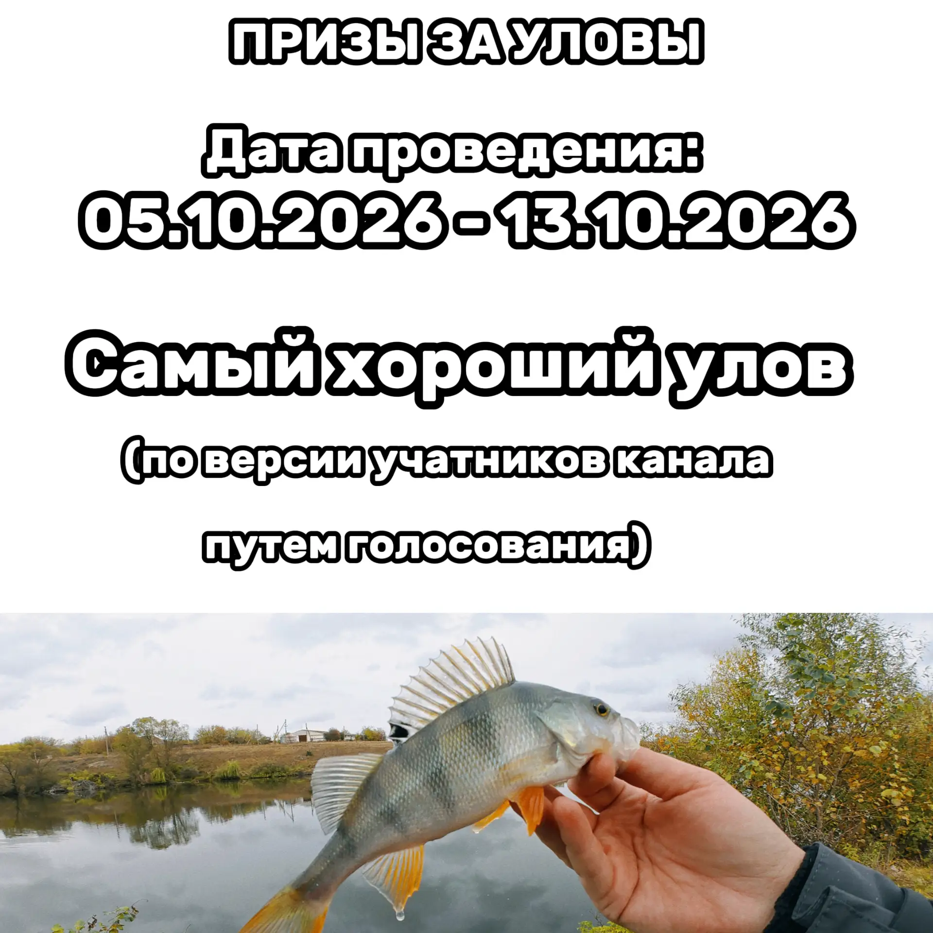 - Публикуйте отчеты о рыбалке с указанием района лова