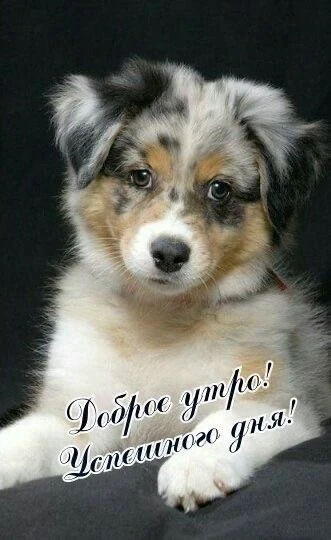 КРАСИВЫЕ ОТКРЫТКИ ТУТ💖