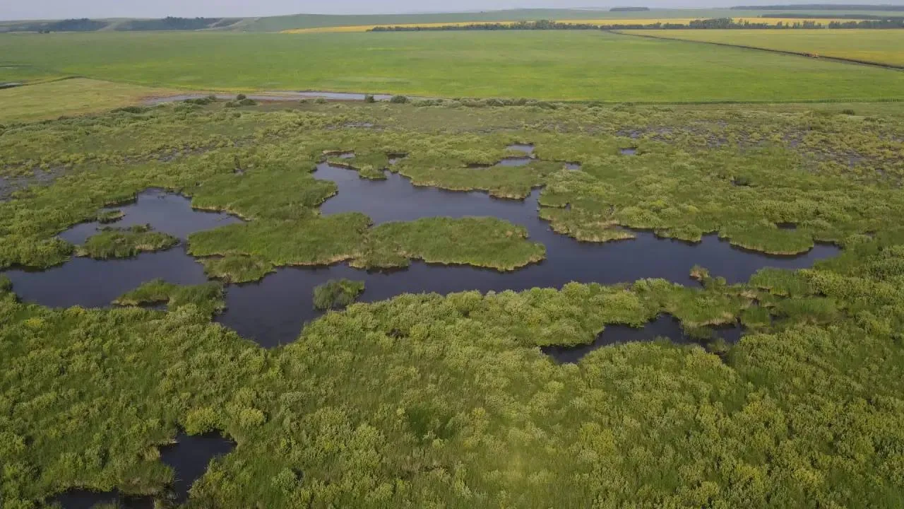 Урочища Большое и Малое Лебединое