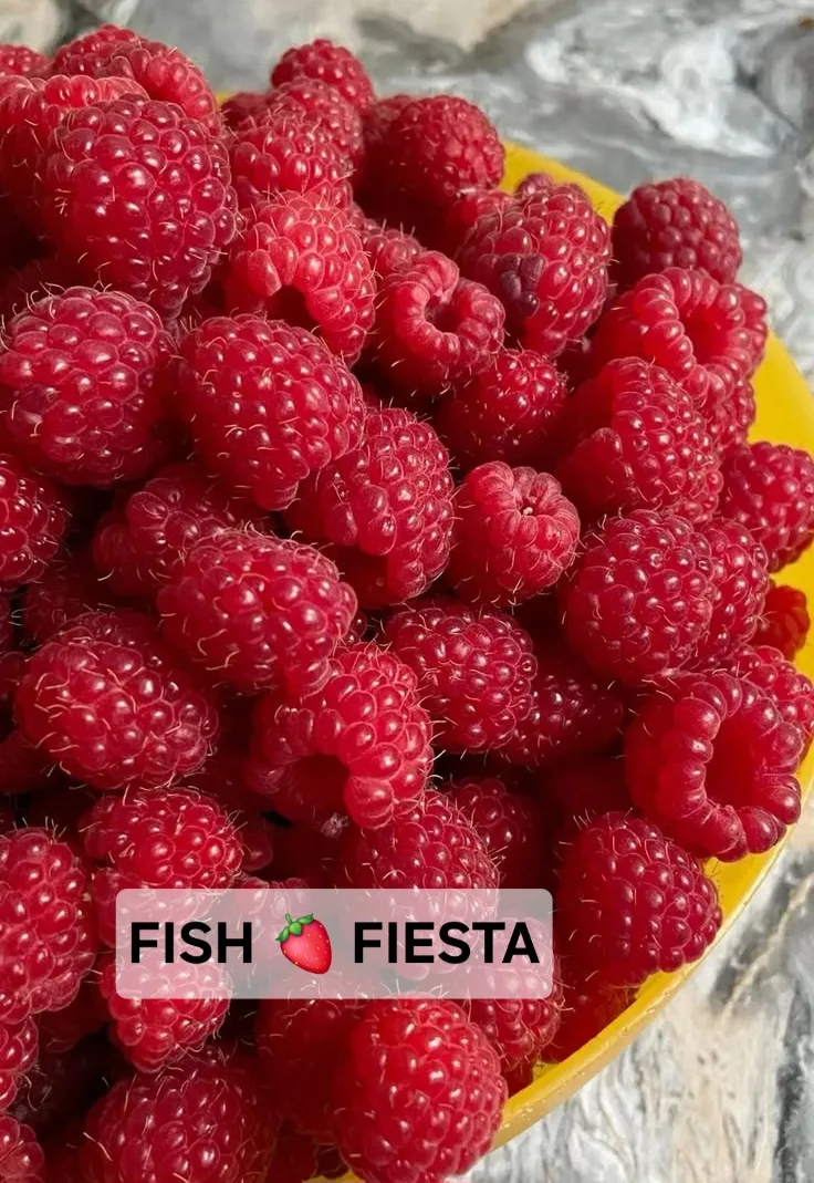🍓🍒 Доброе утро 🐋🦀🦐