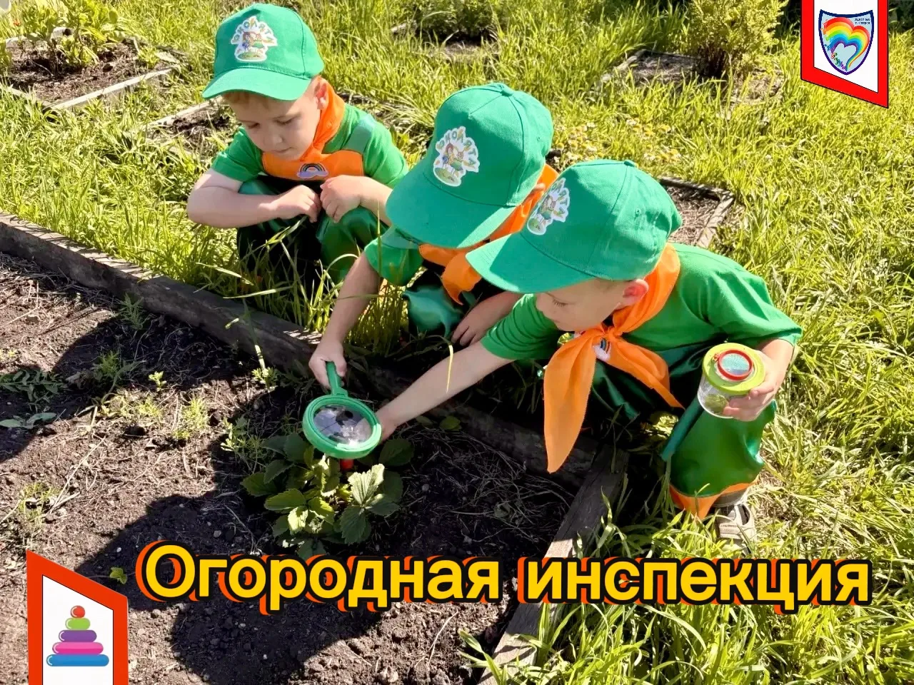 Сегодня☀️ наши дошколята-эколята☘️ отправились в огород👩‍🌾 с инспекцией. Провели осмотр и измерени