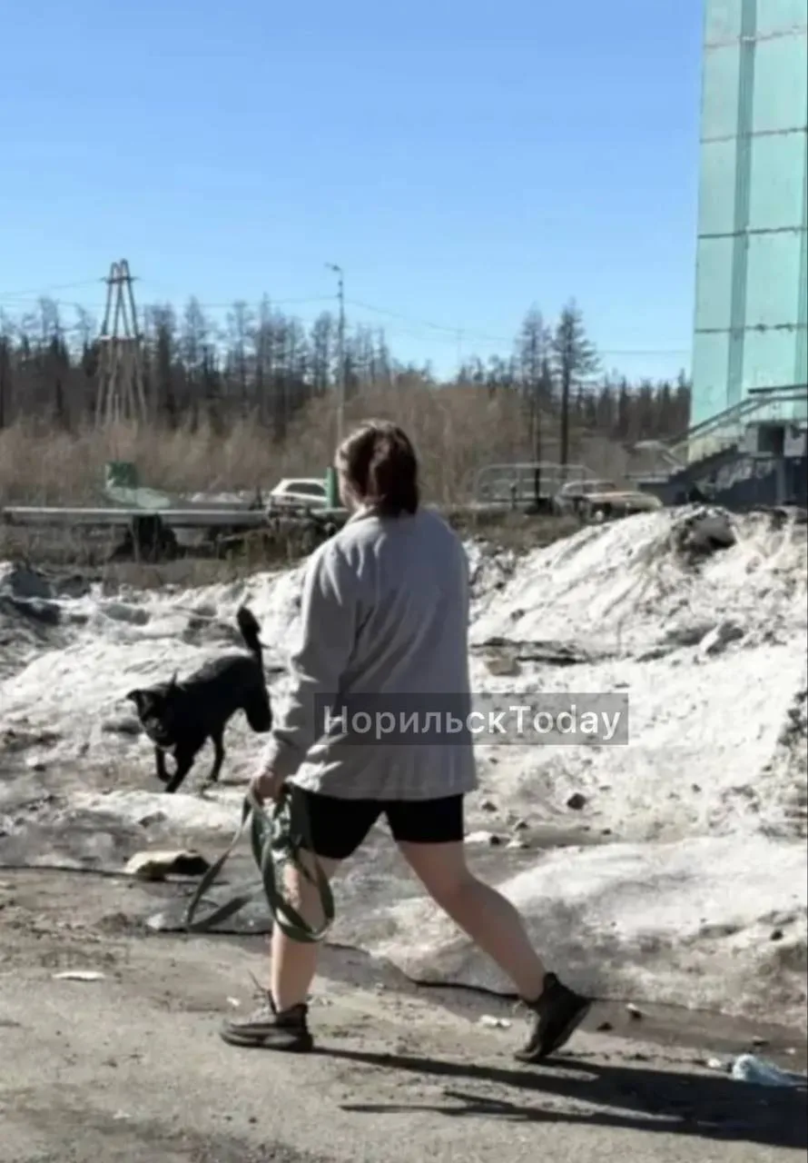 «Хотелось бы огласить ситуацию: 09.06 около 14:50 по улице Таймырская, 1 вышла «дама» с...