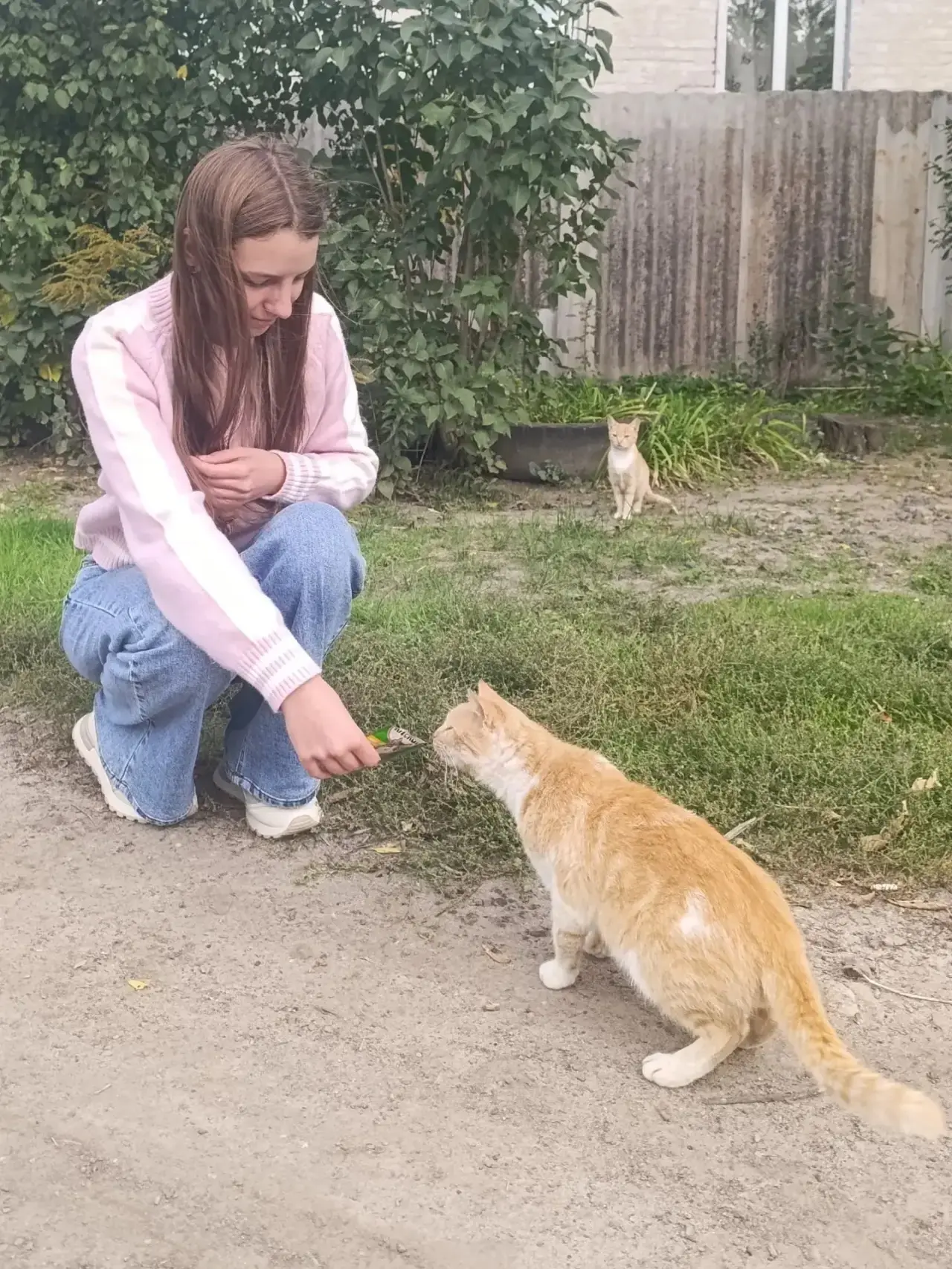 🐾 День защиты животных: доброта начинается с малого