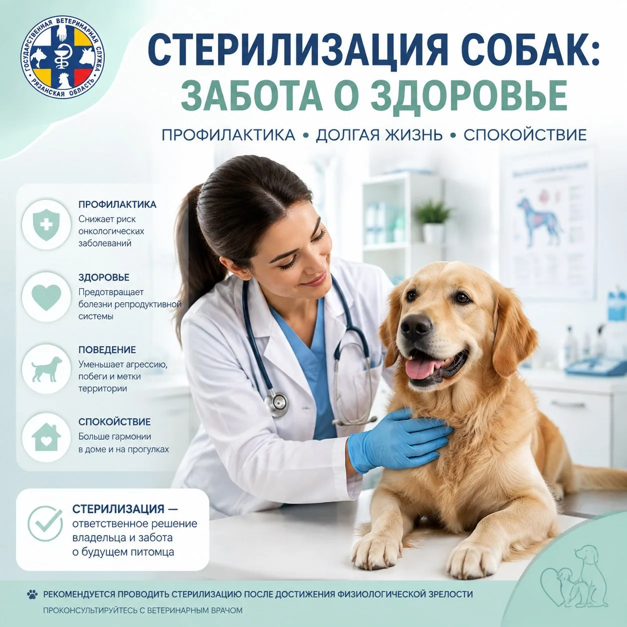 🐶 Стерилизация собак: забота о здоровье и долгой жизни питомца